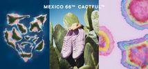 MEXICO 66 CACTFUL
